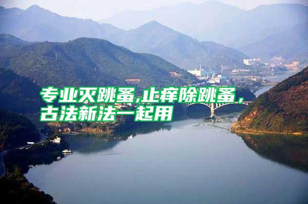 專業(yè)滅跳蚤,止癢除跳蚤， 古法新法一起用