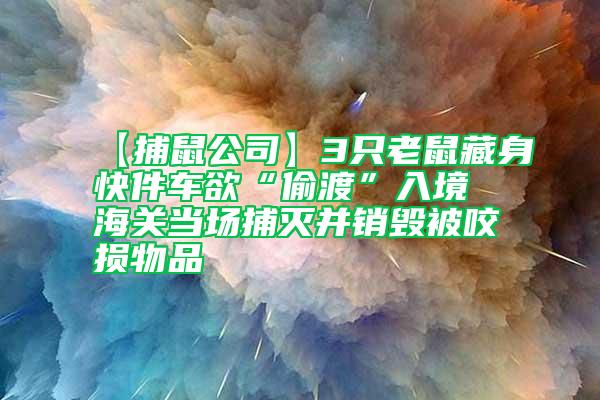 【捕鼠公司】3只老鼠藏身快件車欲“偷渡”入境 海關(guān)當場捕滅并銷毀被咬損物品