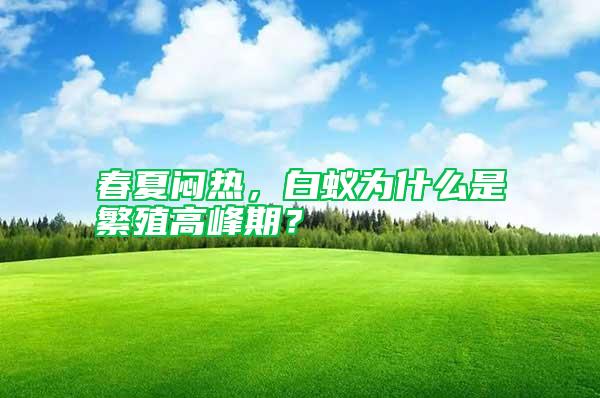春夏悶熱，白蟻為什么是繁殖高峰期？