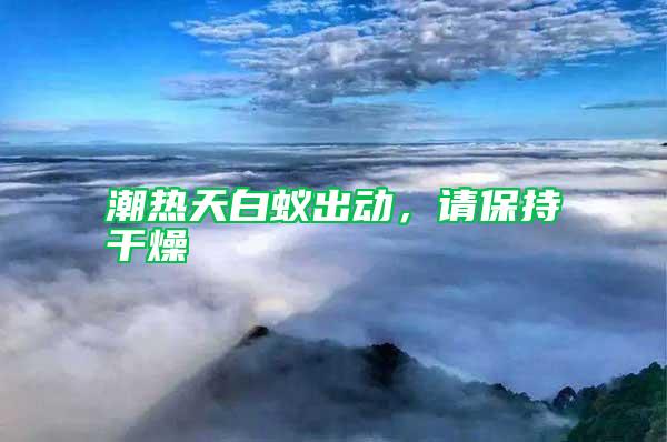 潮熱天白蟻出動，請保持干燥