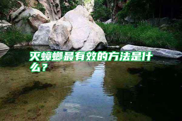 滅蟑螂最有效的方法是什么？