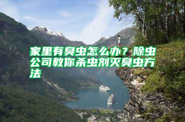 家里有臭蟲怎么辦？除蟲公司教你殺蟲劑滅臭蟲方法