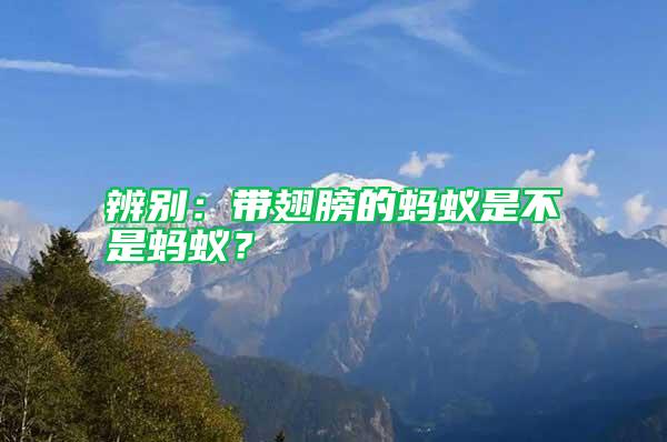 辨別：帶翅膀的螞蟻是不是螞蟻？