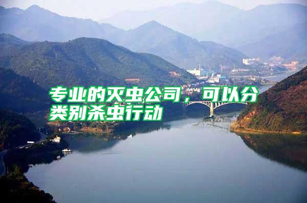 專業(yè)的滅蟲公司，可以分類別殺蟲行動(dòng)