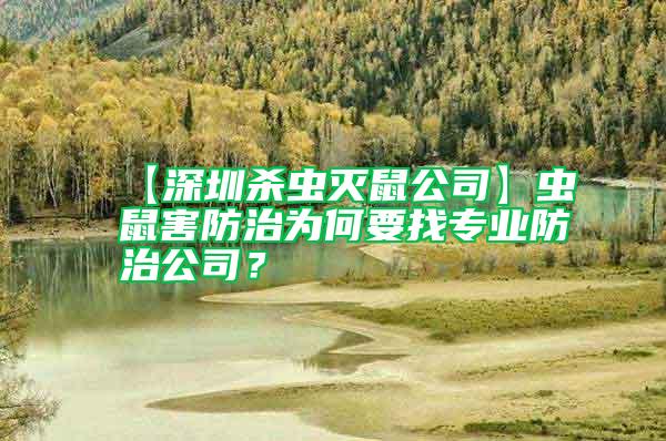 【深圳殺蟲滅鼠公司】蟲鼠害防治為何要找專業(yè)防治公司？