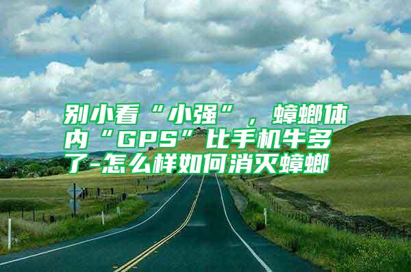 別小看“小強”，蟑螂體內(nèi)“GPS”比手機牛多了-怎么樣如何消滅蟑螂