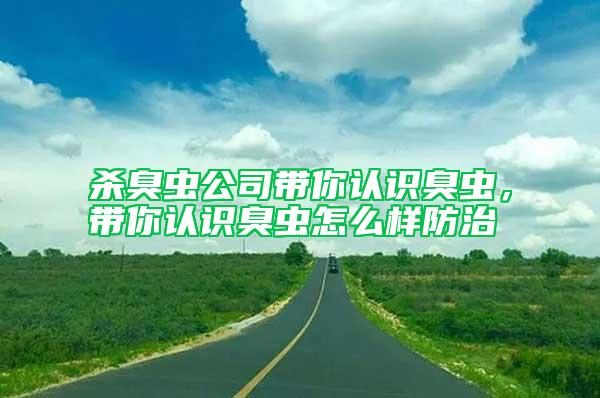殺臭蟲(chóng)公司帶你認(rèn)識(shí)臭蟲(chóng)，帶你認(rèn)識(shí)臭蟲(chóng)怎么樣防治