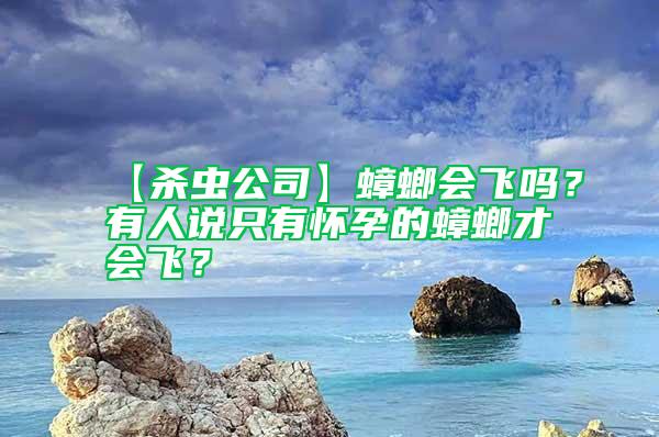 【殺蟲公司】蟑螂會(huì)飛嗎？有人說(shuō)只有懷孕的蟑螂才會(huì)飛？