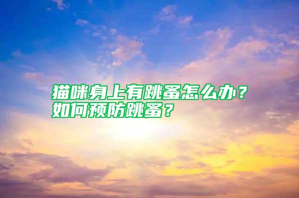 貓咪身上有跳蚤怎么辦？如何預防跳蚤？