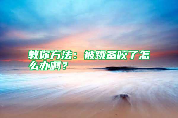 教你方法：被跳蚤咬了怎么辦啊？