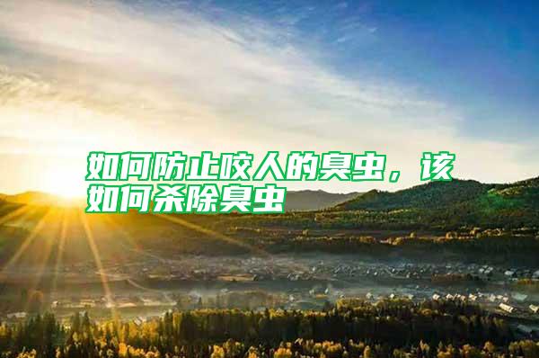 如何防止咬人的臭蟲，該如何殺除臭蟲