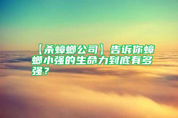 【殺蟑螂公司】告訴你蟑螂小強(qiáng)的生命力到底有多強(qiáng)？