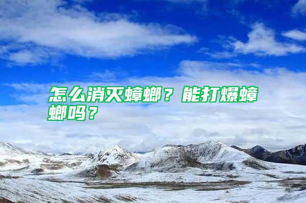怎么消滅蟑螂？能打爆蟑螂嗎？
