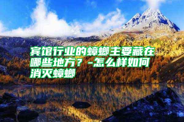 賓館行業(yè)的蟑螂主要藏在哪些地方？-怎么樣如何消滅蟑螂