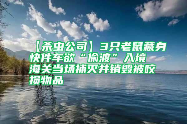 【殺蟲(chóng)公司】3只老鼠藏身快件車(chē)欲“偷渡”入境 海關(guān)當(dāng)場(chǎng)捕滅并銷(xiāo)毀被咬損物品