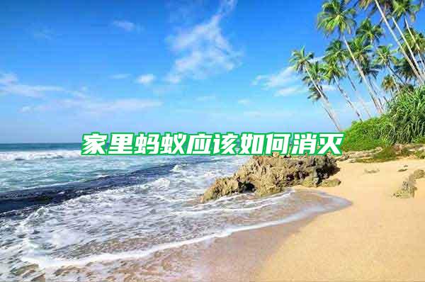 家里螞蟻應(yīng)該如何消滅