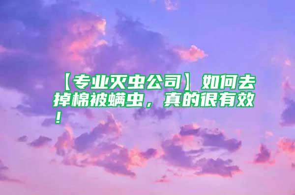 【專業(yè)滅蟲公司】如何去掉棉被螨蟲，真的很有效！