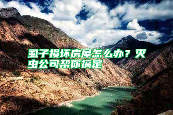 虱子損壞房屋怎么辦？滅蟲(chóng)公司幫你搞定