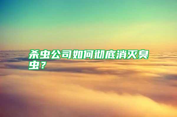 殺蟲公司如何徹底消滅臭蟲？