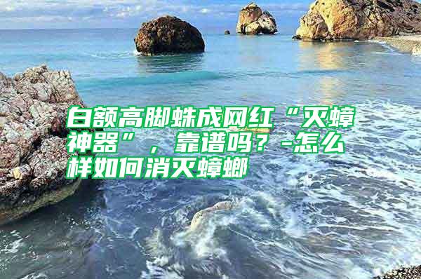 白額高腳蛛成網(wǎng)紅“滅蟑神器”，靠譜嗎？-怎么樣如何消滅蟑螂