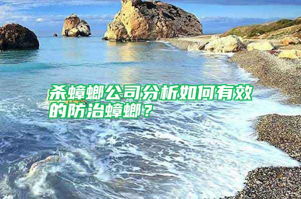 殺蟑螂公司分析如何有效的防治蟑螂？