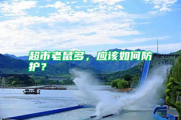超市老鼠多，應(yīng)該如何防護？