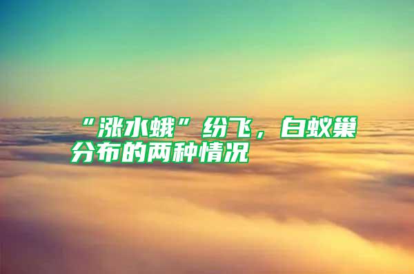 “漲水蛾”紛飛，白蟻巢分布的兩種情況