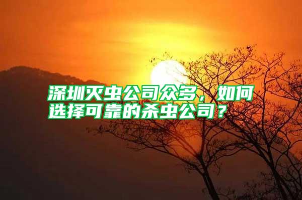 深圳滅蟲公司眾多，如何選擇可靠的殺蟲公司？