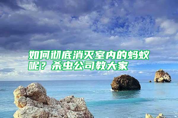 如何徹底消滅室內(nèi)的螞蟻呢？殺蟲(chóng)公司教大家