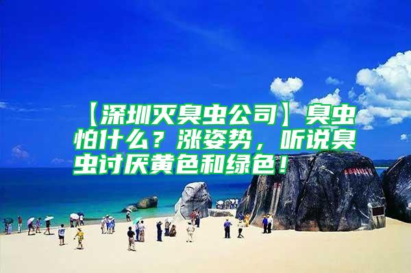 【深圳滅臭蟲公司】臭蟲怕什么？漲姿勢，聽說臭蟲討厭黃色和綠色！