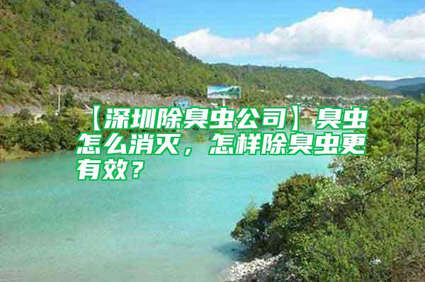 【深圳除臭蟲公司】臭蟲怎么消滅，怎樣除臭蟲更有效？