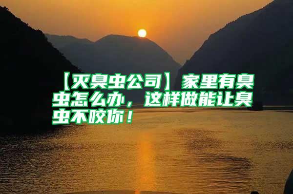 【滅臭蟲公司】家里有臭蟲怎么辦，這樣做能讓臭蟲不咬你！