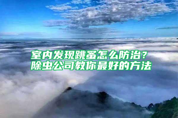 室內(nèi)發(fā)現(xiàn)跳蚤怎么防治？除蟲公司教你最好的方法