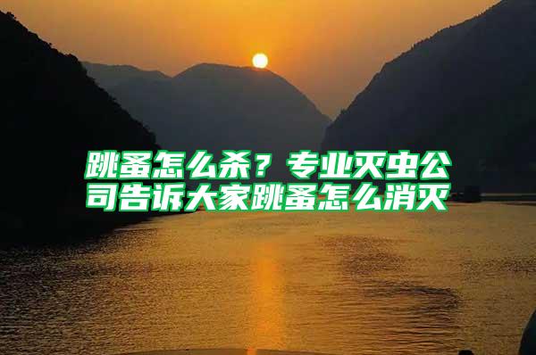 跳蚤怎么殺？專業(yè)滅蟲公司告訴大家跳蚤怎么消滅