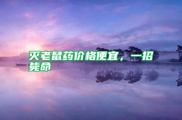 滅老鼠藥價格便宜，一招斃命