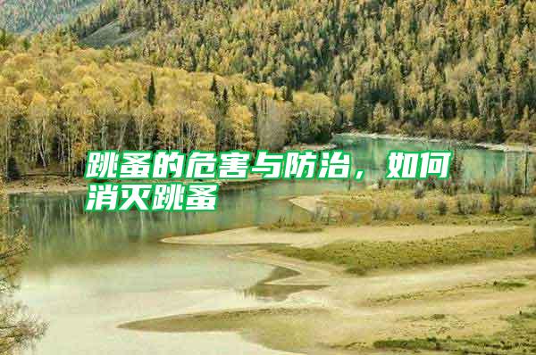 跳蚤的危害與防治，如何消滅跳蚤