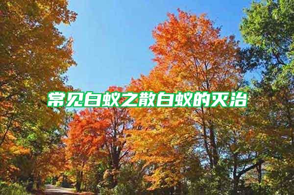 常見(jiàn)白蟻之散白蟻的滅治