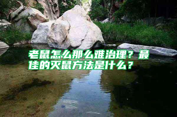 老鼠怎么那么難治理？最佳的滅鼠方法是什么？