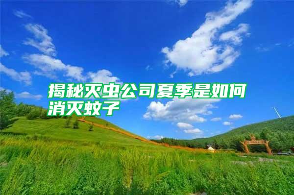 揭秘滅蟲(chóng)公司夏季是如何消滅蚊子