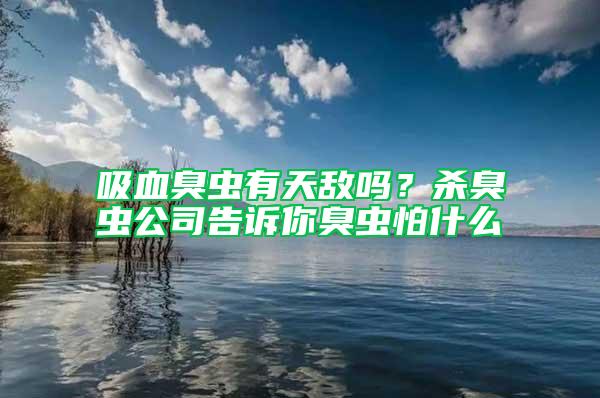 吸血臭蟲(chóng)有天敵嗎？殺臭蟲(chóng)公司告訴你臭蟲(chóng)怕什么