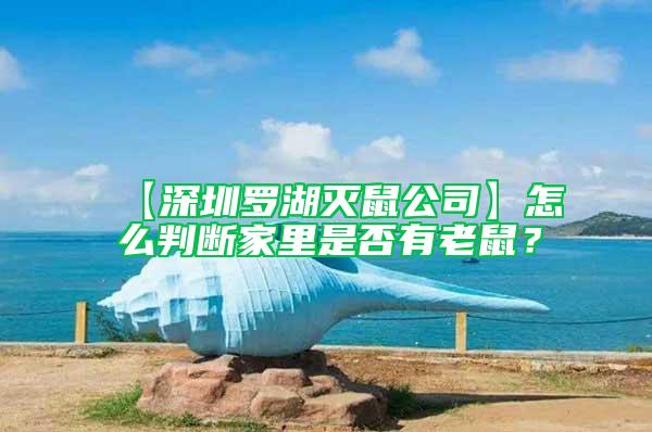 【深圳羅湖滅鼠公司】怎么判斷家里是否有老鼠？