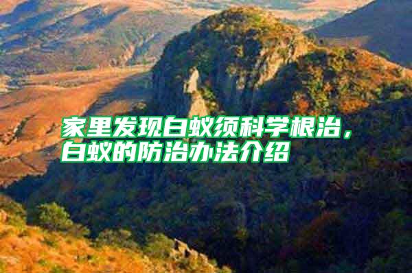 家里發(fā)現(xiàn)白蟻須科學根治，白蟻的防治辦法介紹
