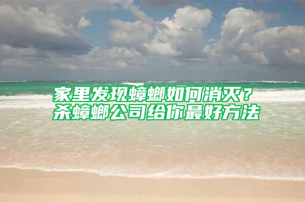 家里發(fā)現(xiàn)蟑螂如何消滅？殺蟑螂公司給你最好方法