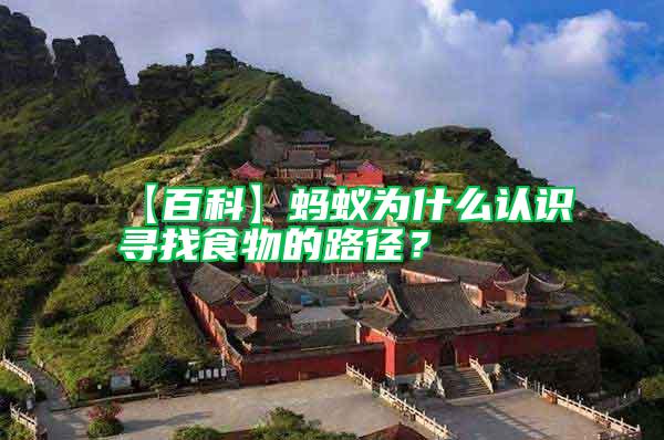 【百科】螞蟻為什么認(rèn)識(shí)尋找食物的路徑？