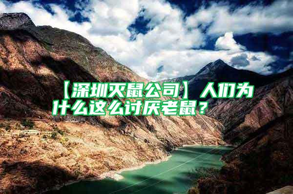 【深圳滅鼠公司】人們?yōu)槭裁催@么討厭老鼠？