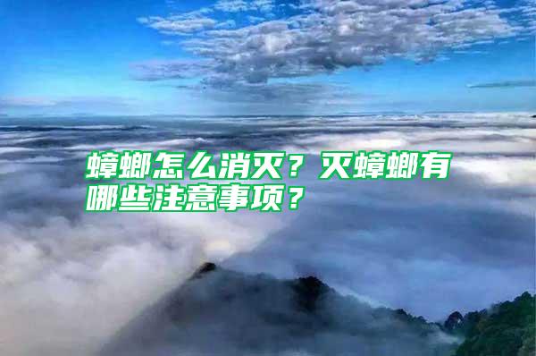 蟑螂怎么消滅？滅蟑螂有哪些注意事項？