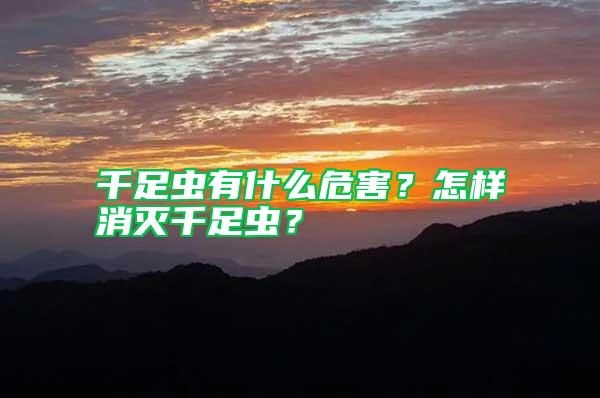 千足蟲有什么危害？怎樣消滅千足蟲？