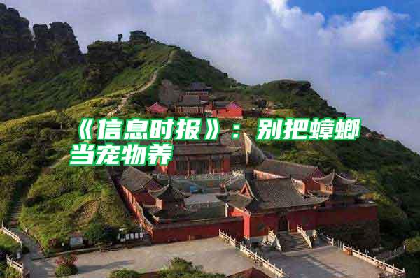 《信息時報》：別把蟑螂當(dāng)寵物養(yǎng)