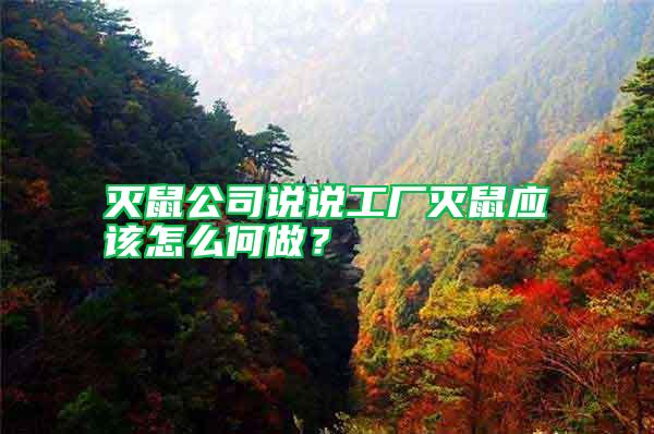 滅鼠公司說(shuō)說(shuō)工廠滅鼠應(yīng)該怎么何做？