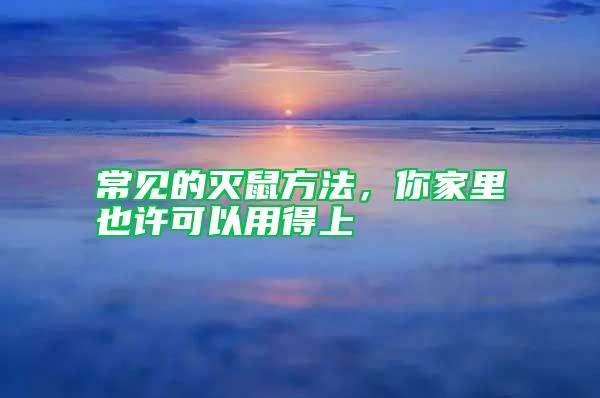 常見(jiàn)的滅鼠方法，你家里也許可以用得上